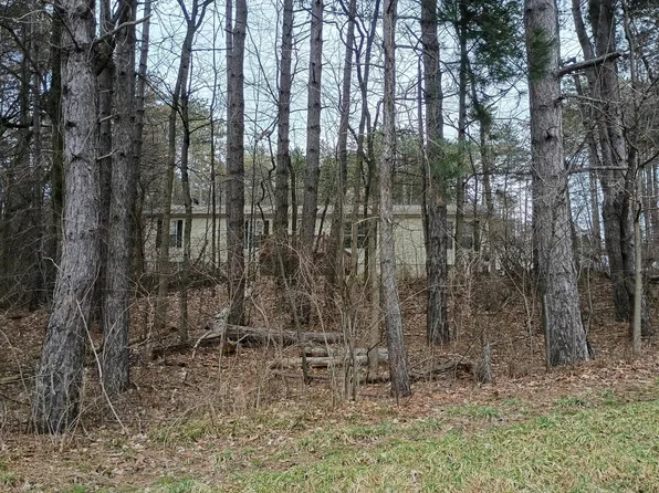 5273 English Rd, Clifford, MI 48727