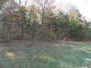 2nd image of Sumac