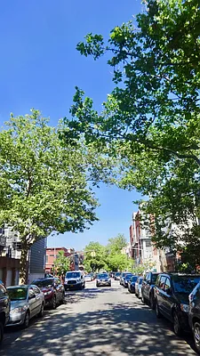 Rented by Grand & Co. | media 19