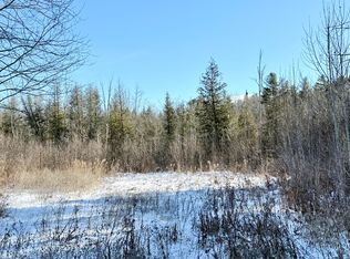 0 Hank Wilson Rd, Cadyville, NY 12918