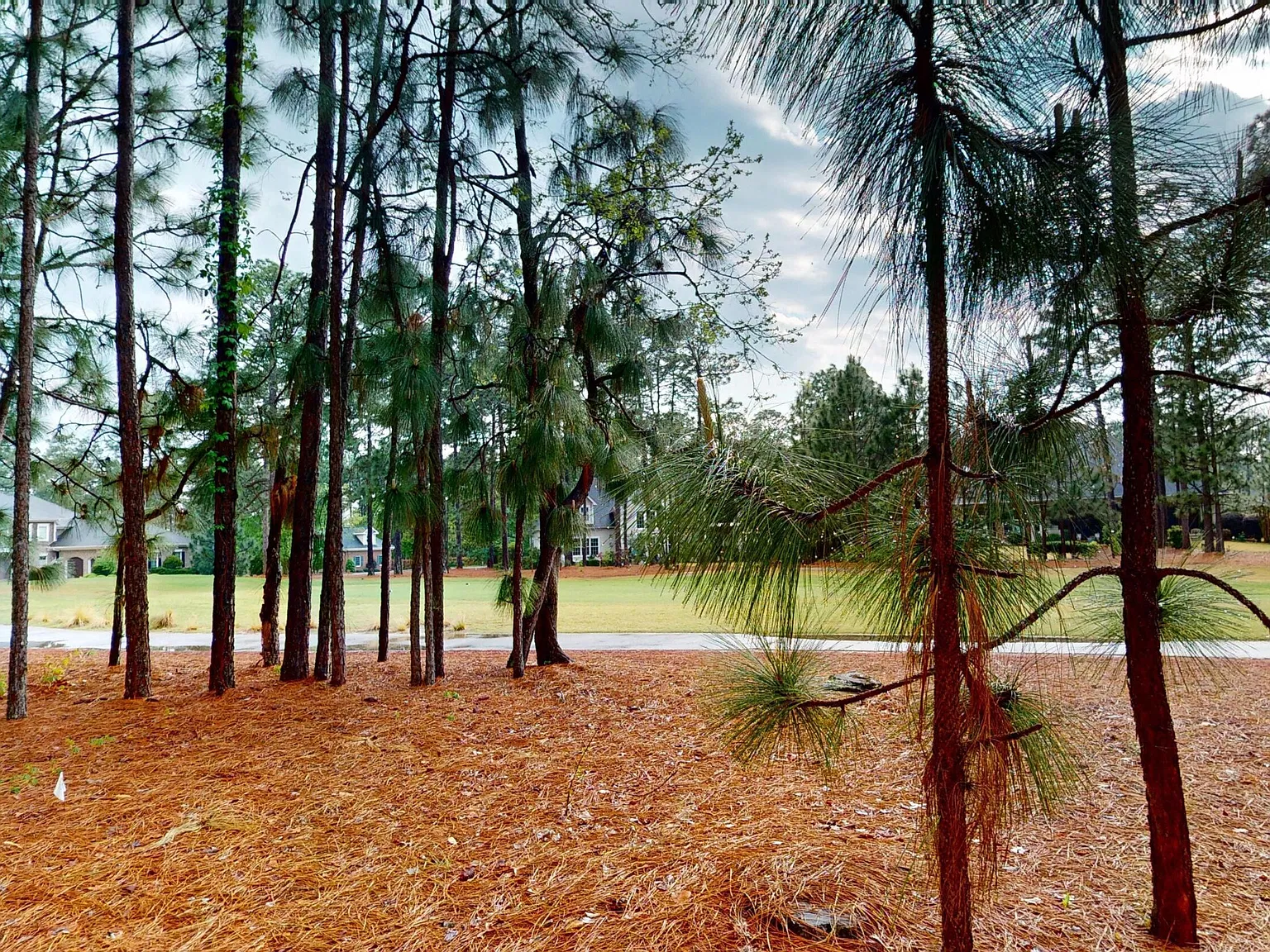 4 bed, 4.0 bath, 2902 sqft, $3,950 — Photo 3