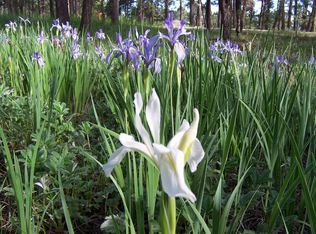 11930 Melba Rd, Elbert, CO 80106