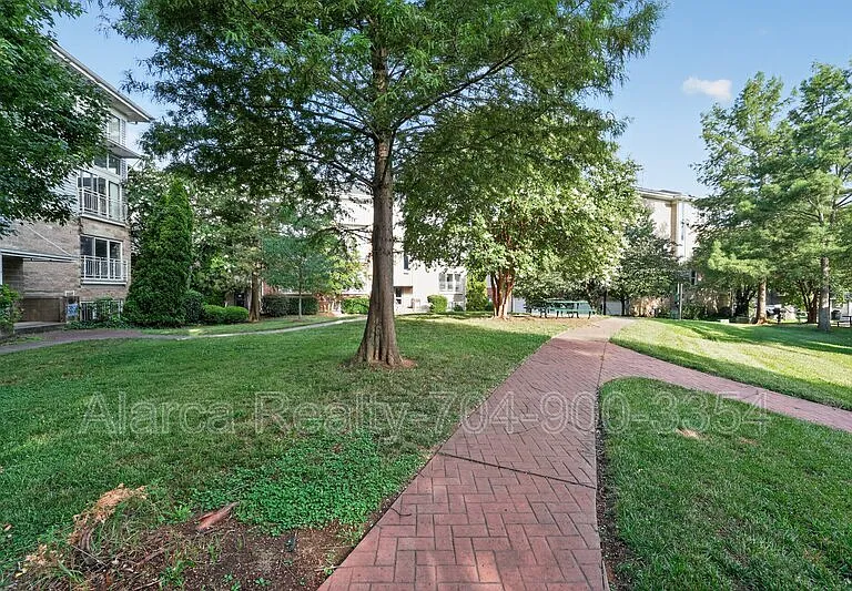 3809 Picasso Ct — Photo 16
