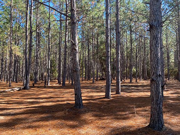 5th image of Bear Bay Flats Rd