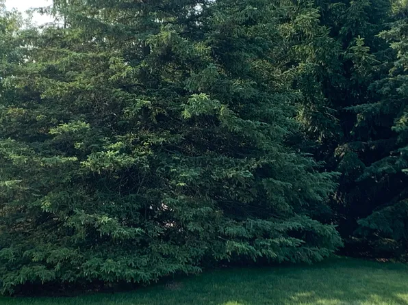 Vacant Covert Rd NE, Mancelona, MI 49659