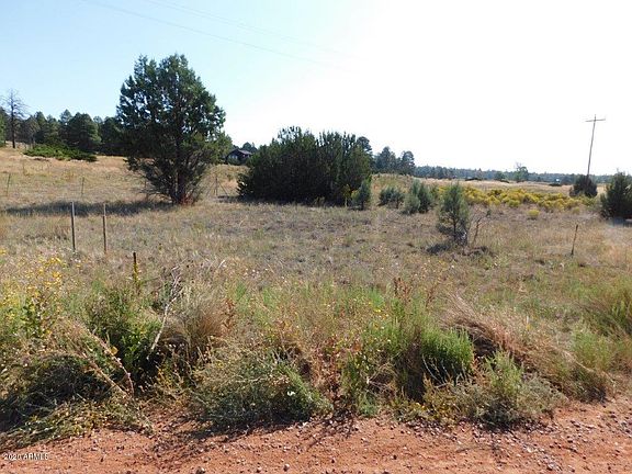 4th image of 2769 Sunflower Dr Lot 203