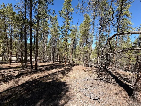 350 Mount Massive Drive, Twin Lakes, CO 81251