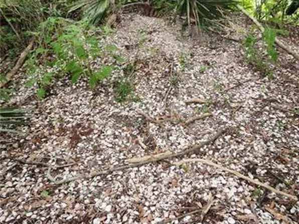 Vacant Land, Ponchatoula, LA 70454