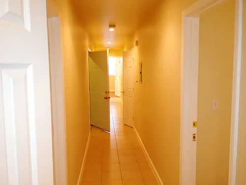 6 Bannam Pl Photo 1