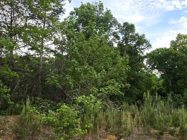 6530 Treetop Ct Lot 104454, Snow Camp, NC 27349