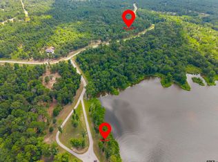 3195 Shadow Pine Dr, Larue, TX 75770