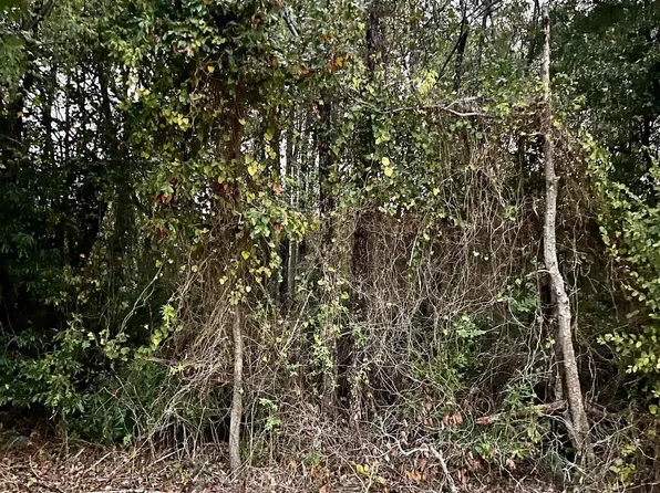 Olive St, Marshall, TX 75670