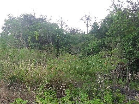 3rd image of Princess Kaiulani Blvd Lot 22