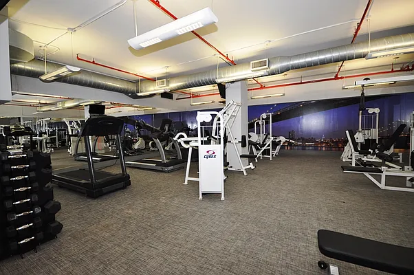 Rented by Corcoran | media 29