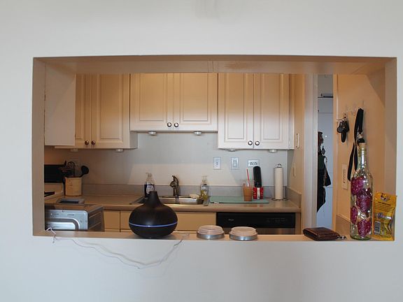 Pass through between Kitchen and Living Area