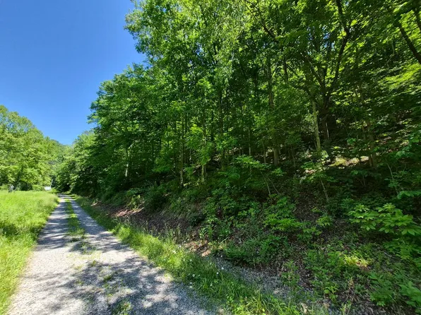 County Route 35/4 Jobs Run, Glenville, WV 26351