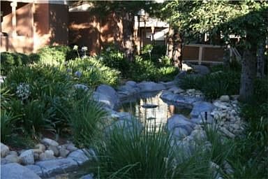 Tranquil Streams Throughout Property