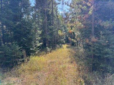 Nka Sanders Rd, Saint Maries, ID, 83861