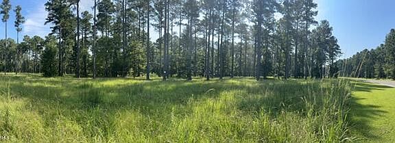 3rd image of 190 Ocracoke Drive LOT 43 and 43A