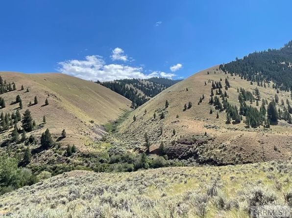 Agency Creek Rd, Tendoy, ID 83468
