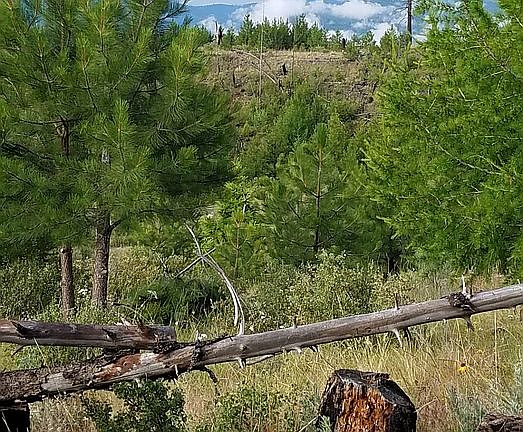 3rd image of 153 W High Country Dr