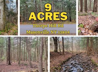LOT 3 Thorpe Hill Rd LOT 3, Sidney, NY 13838