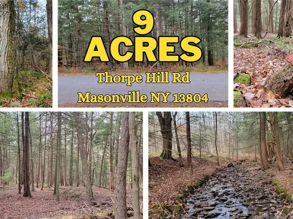 LOT 3 Thorpe Hill Rd Lot 3, Sidney, NY 13838