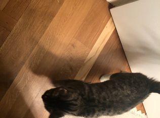 30500 Brentwood St, Southfield, MI 48076