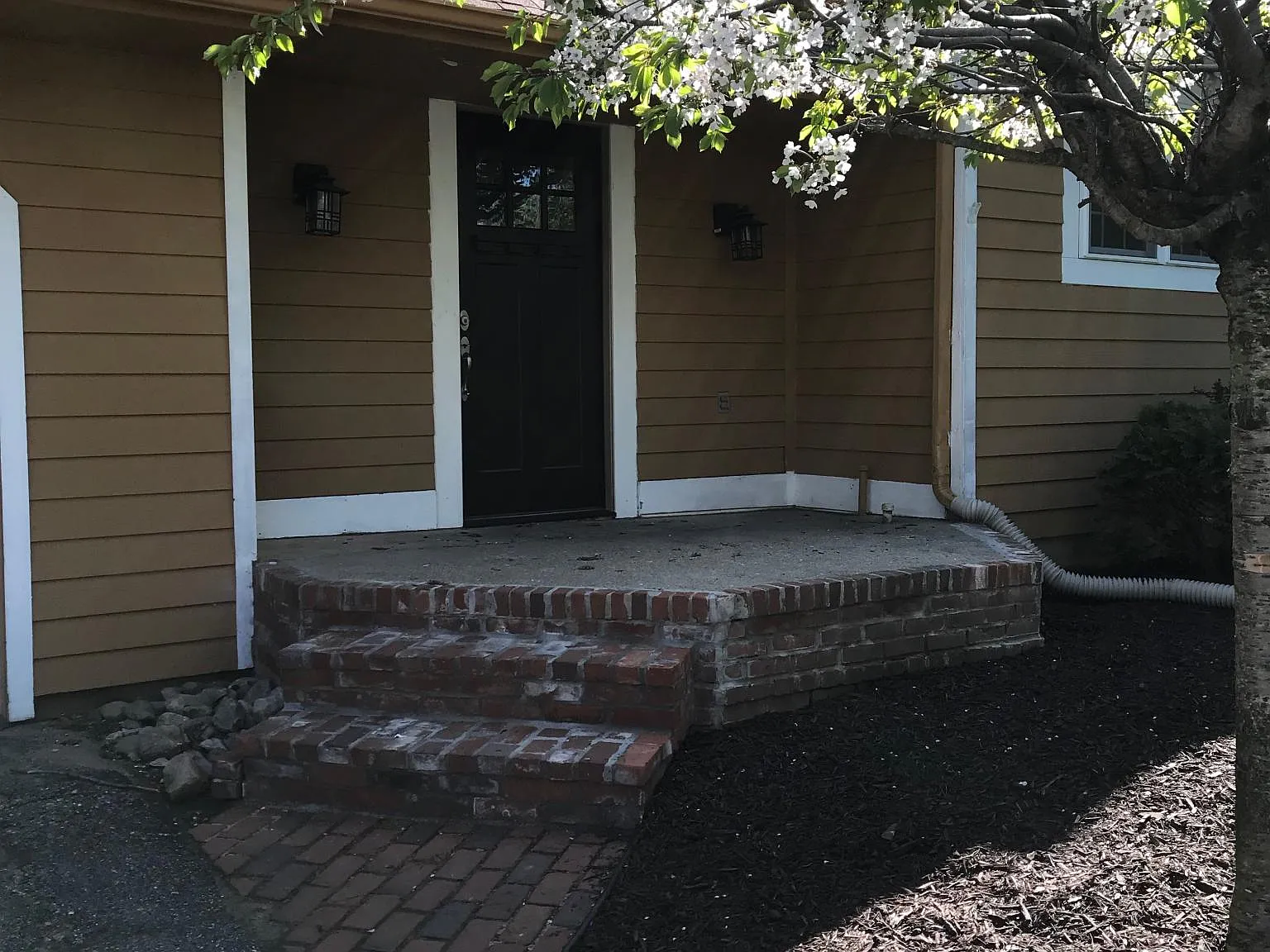 3 bed, 2488 sqft, $2,800 — Photo 2
