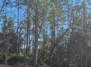 SW 56th Ln Lot 20, Ocala, FL 34481