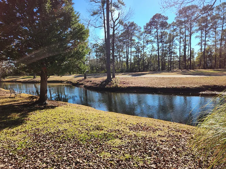 9398 Pinckney Ln — Photo 3