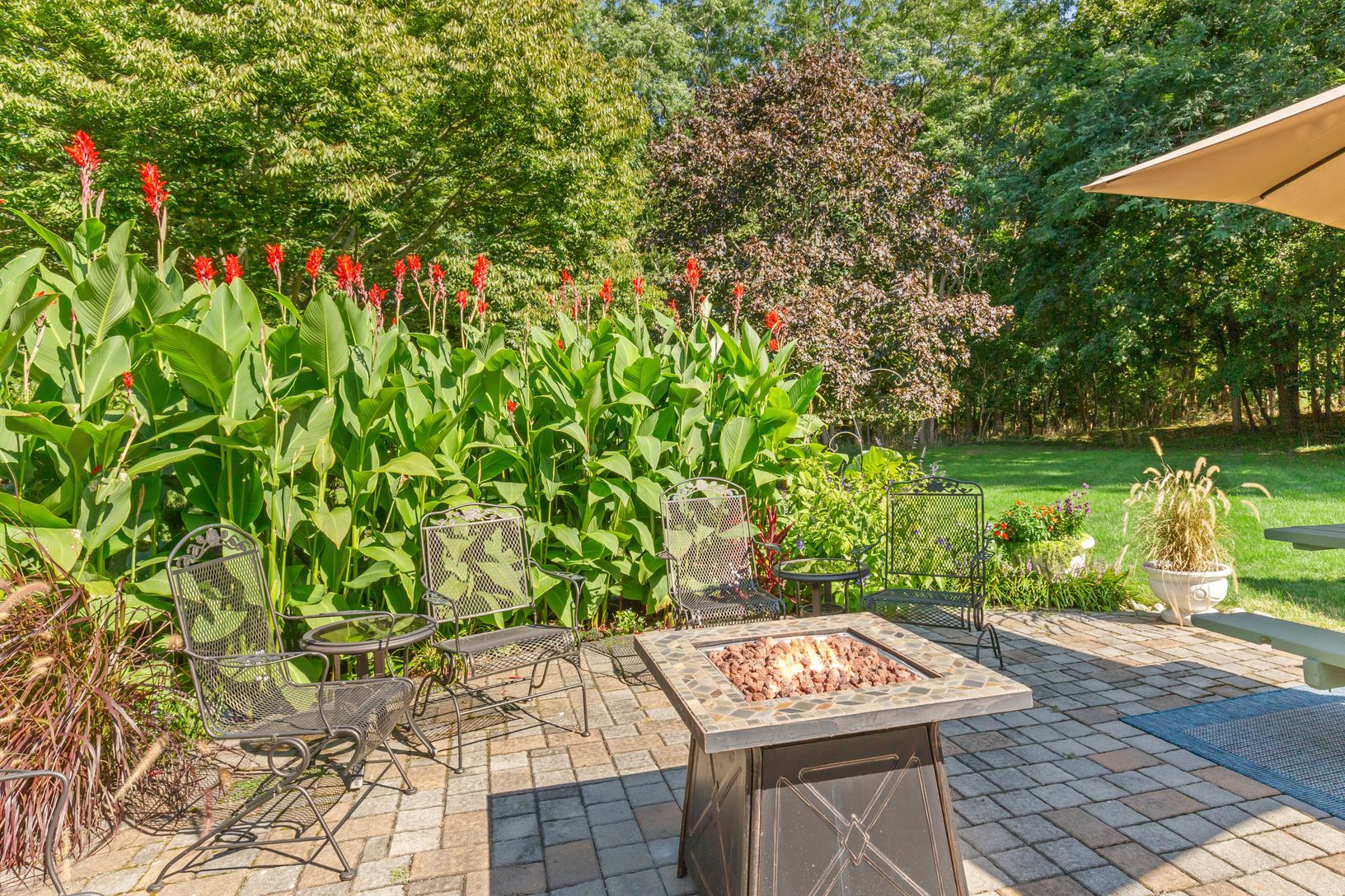  Rear Patio Area with Natural Cannas Border. patio Overlooks the Large and Lush Backyard