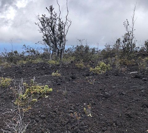 4th image of Reef Circle Mauka Lot 7