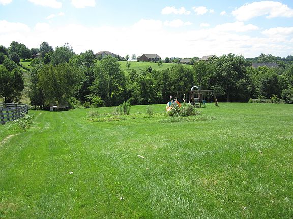 back yard