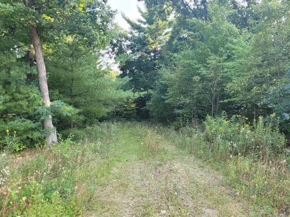 Lot 1 County Road P, Wisconsin Dells, WI 53965