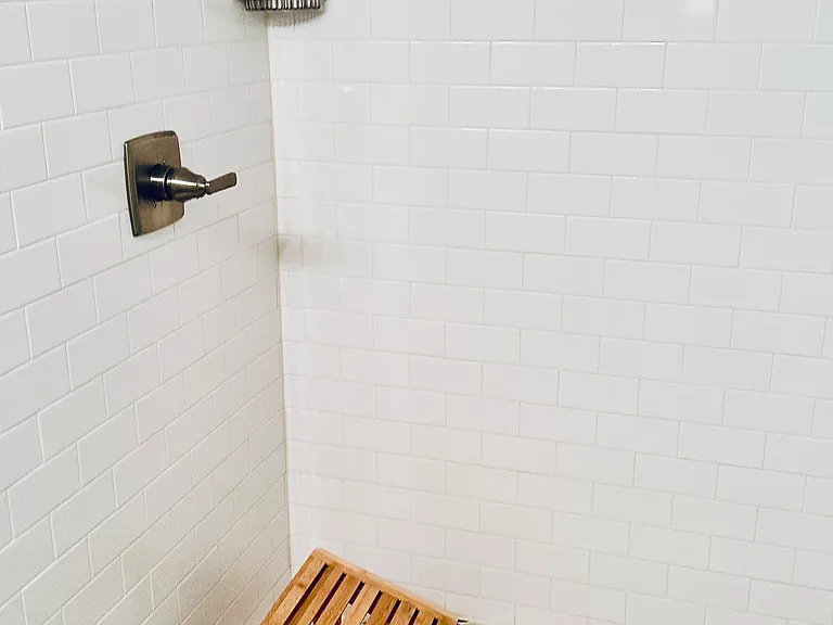 Master bath shower.