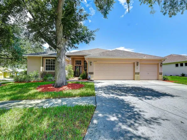 2202 Longmore Cir, Valrico, FL 33596