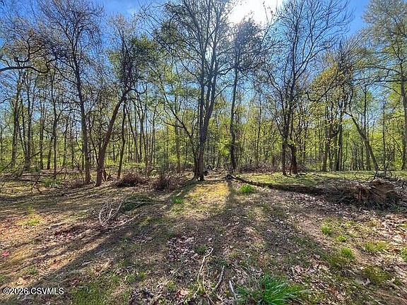 5th image of LOT Old Danville Hwy