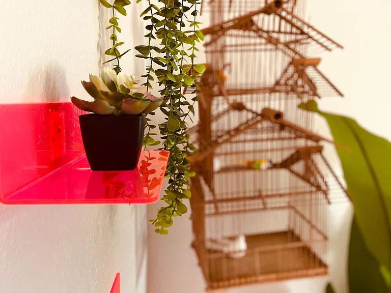 Thoughtful tropical decor courtesy of Palm Springs