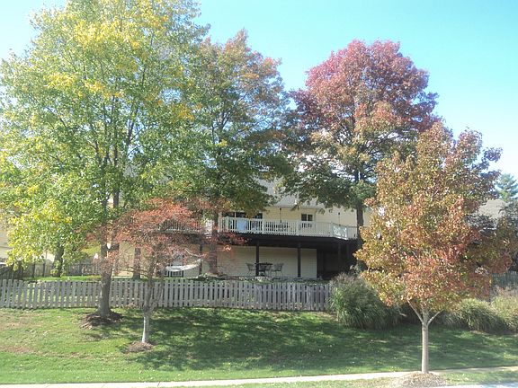 View of back yard
