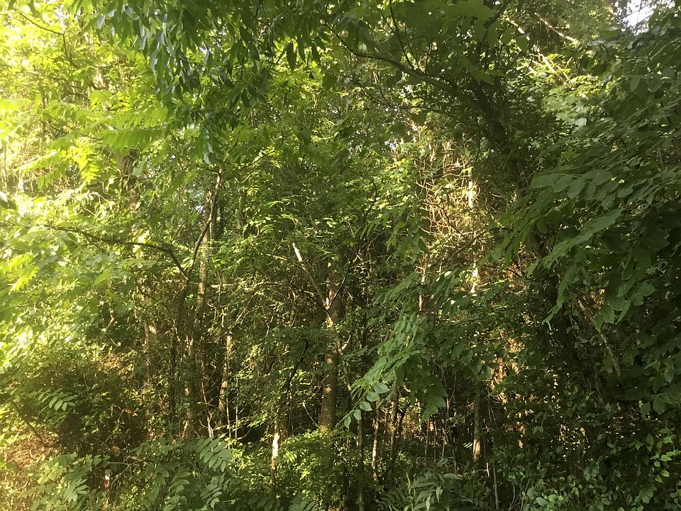 1st image of 4392 Greenwood Dr