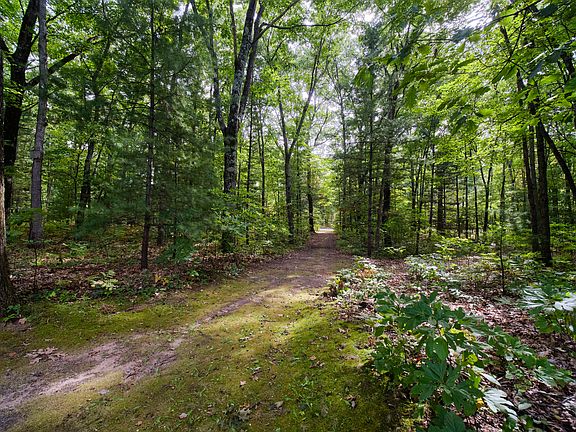 4th image of 17349 Hoxeyville Rd