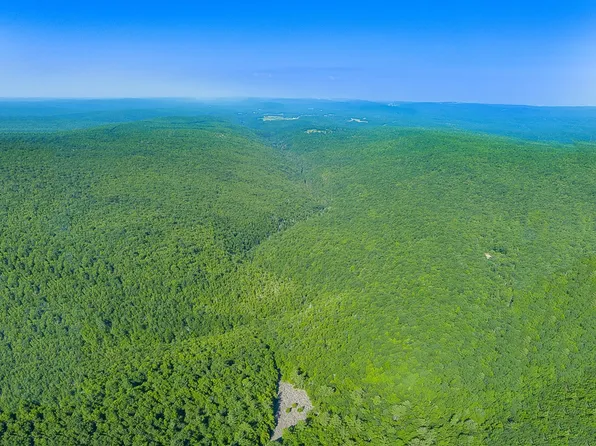 614 Graystones Jeras Rd #Sv-5, Albrightsville, PA 18210