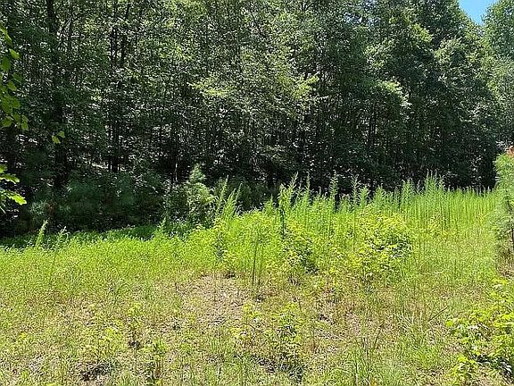 3rd image of Creek Indian Trl