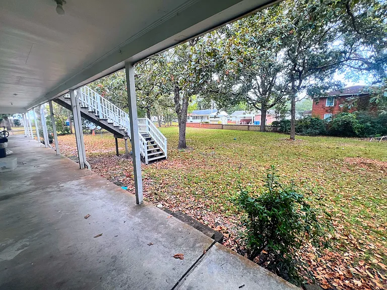 Back Yard_10102025