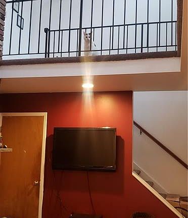 5th image of 15 Lakeview Ct