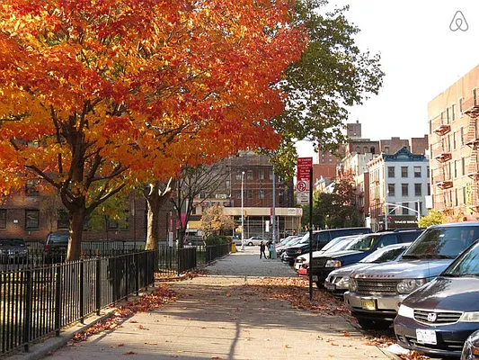 Rented by Charles Coutinho LLC | media 29