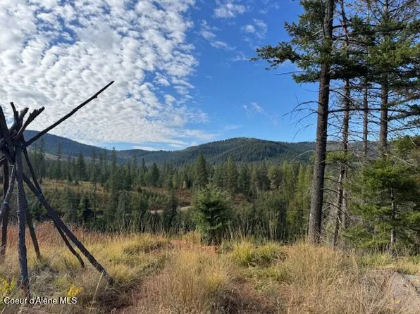 Nka Dole Camp Rd, Tensed, ID 83870