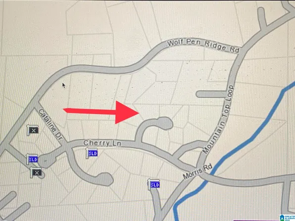 225 Freedom Way #24, Pell City, AL 35128