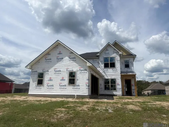 21481 Blue Fin Dr, Springfield, LA 70462